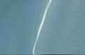 Holographic Metallic Glacial Frost